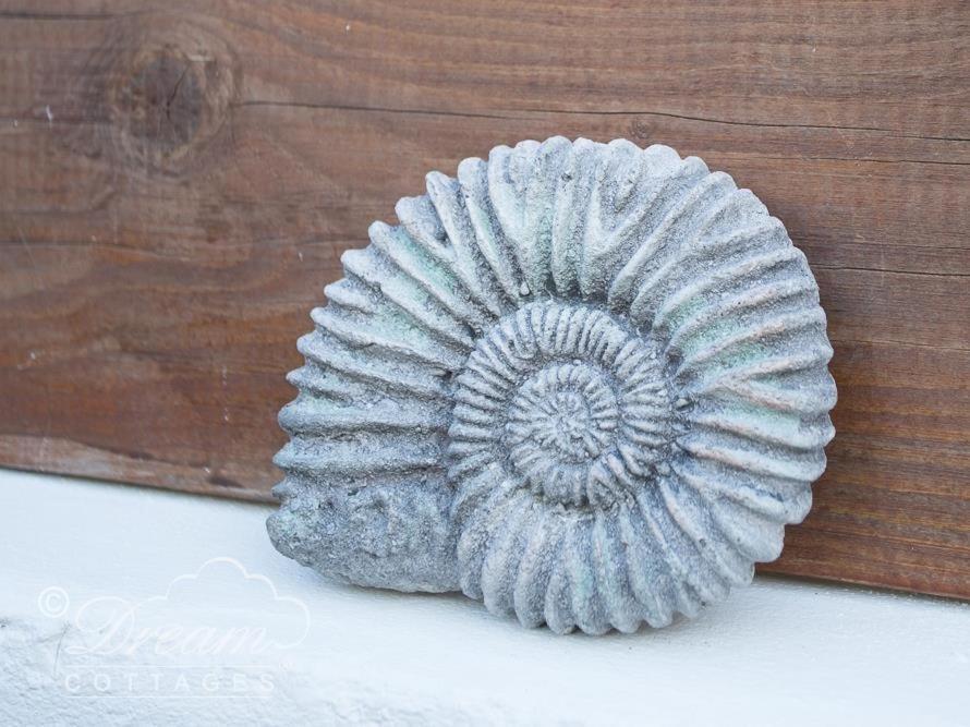 Ammonite Cottage Portland Zewnętrze zdjęcie